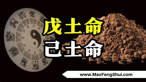 中央戊己土意思|【中央戊己土意思】中央戊己土的奧秘：道教丹道的核心力量！